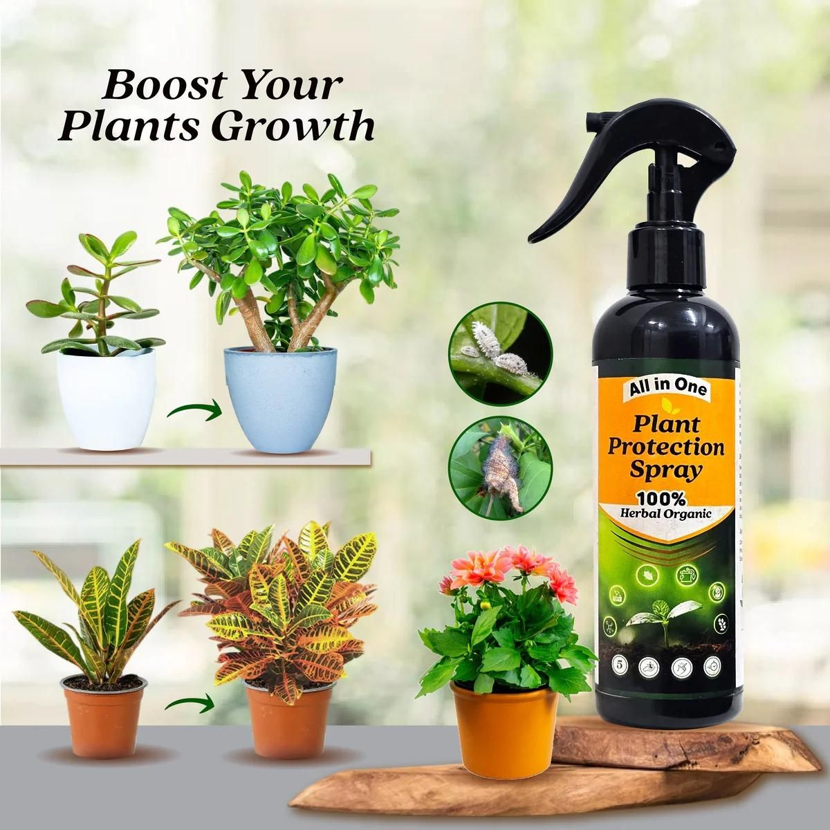 LeafGuard™ - All in One Plant Protection Spray 🌿🛡️(Buy 1 Get 1 Free🔥🔥)